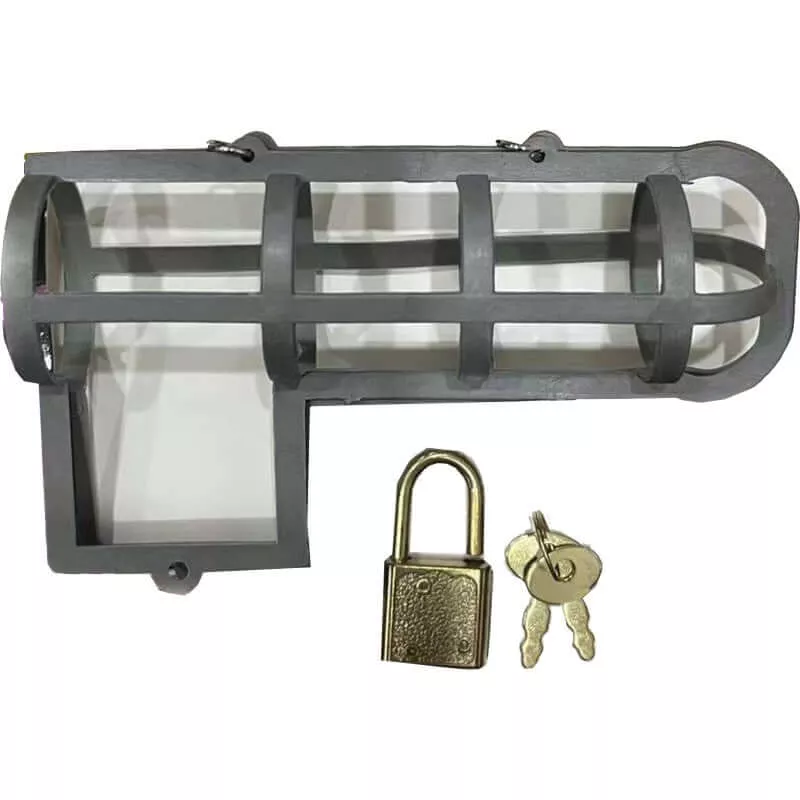 Cock Block Chastity Cage – Playfully Restrictive Fun with Lock and Key!