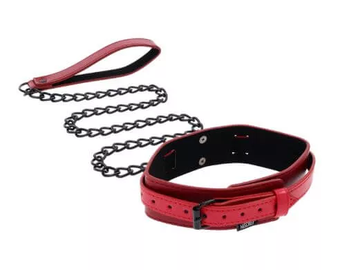 Ex's and Oh's Collar and Leash