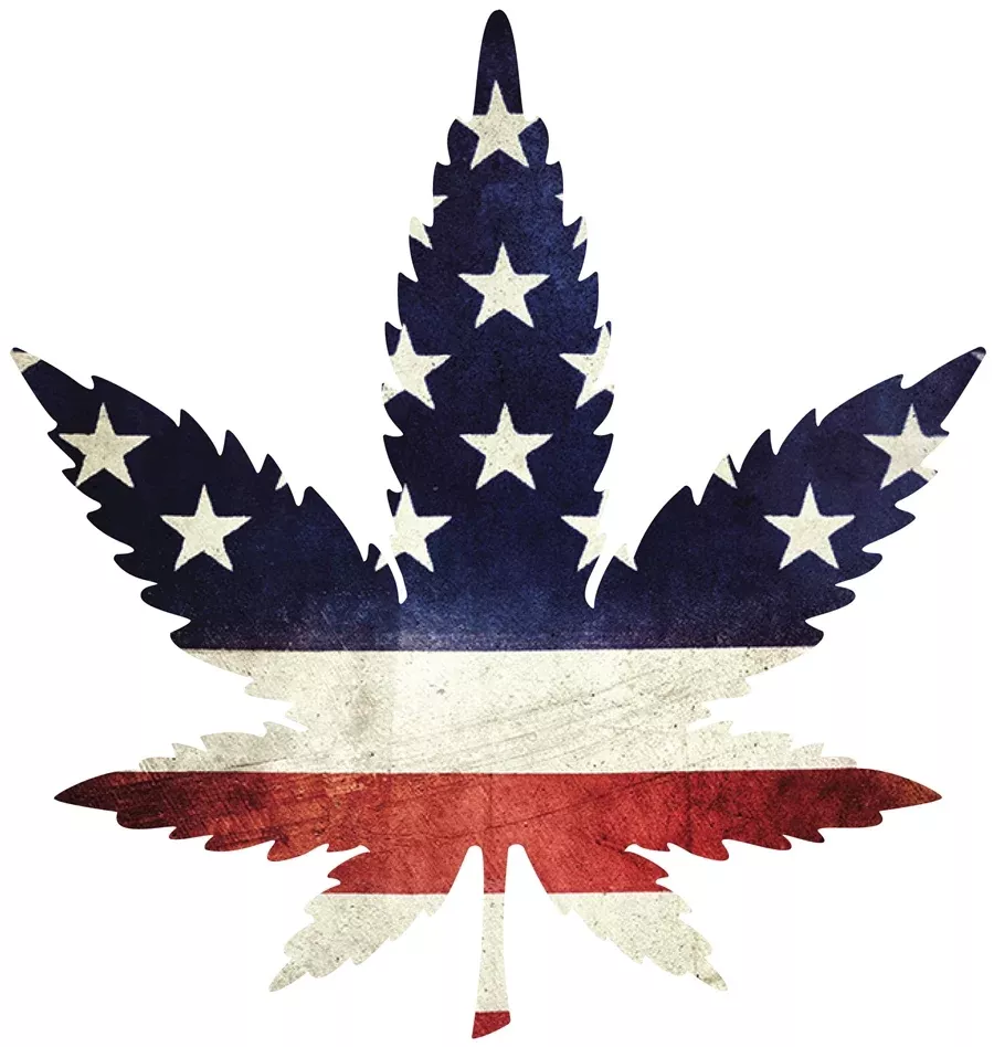 Indica Leaf Shape Puzzle:"Stars and Stripe" 10" x 11" 69 Piece 1/4 Inch thick Maple Wood Jigsaw Puzzle