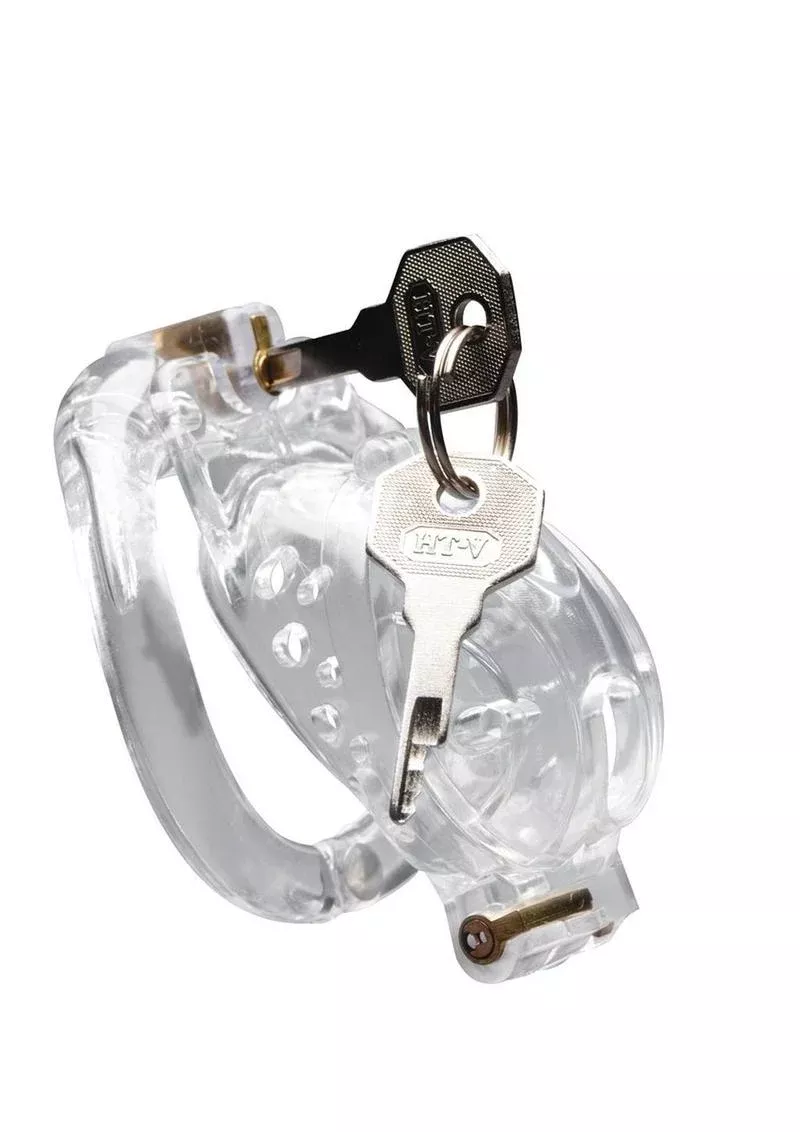 Master Series Double Lockdown Locking Customizable Chastity Cage