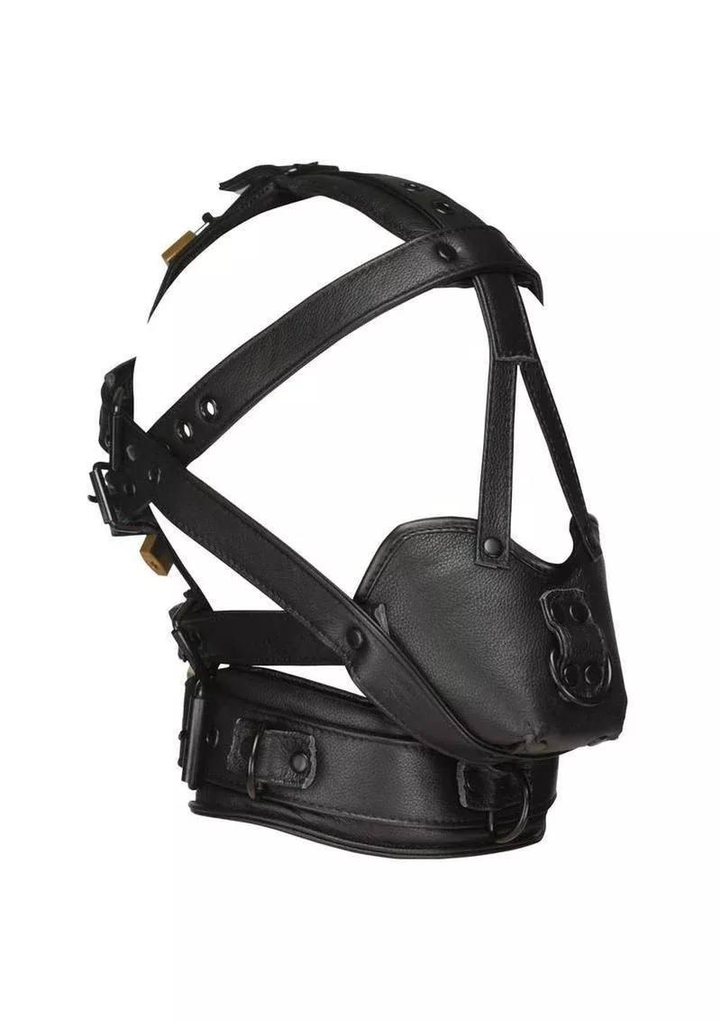 Master Series Lockable Head Harness with Muzzle