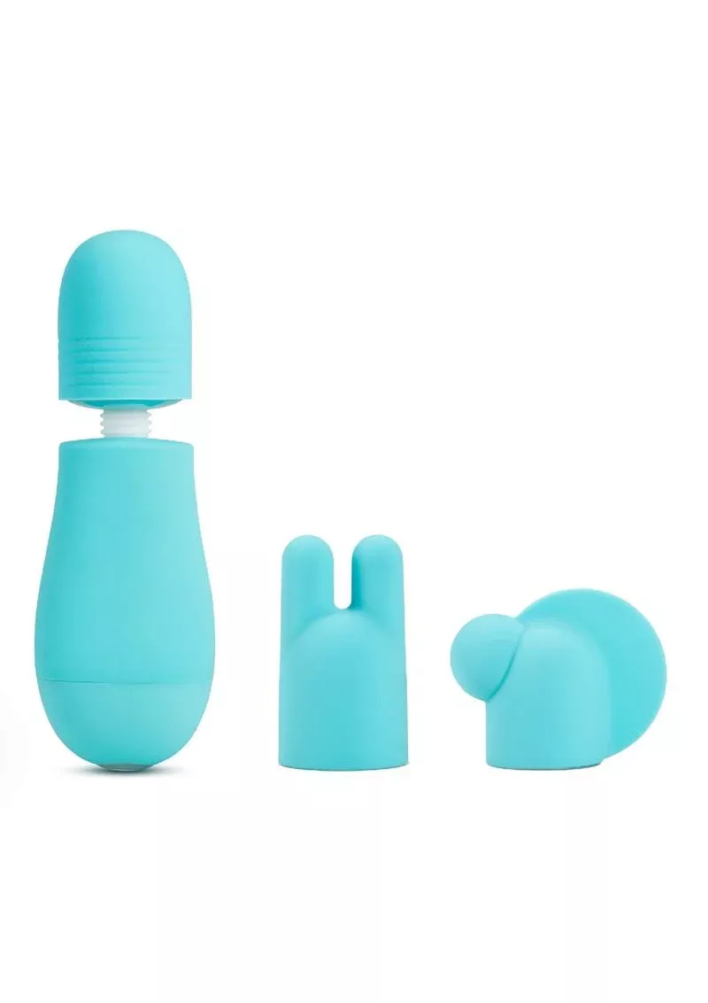 Rose Petite Massage Wand Kit