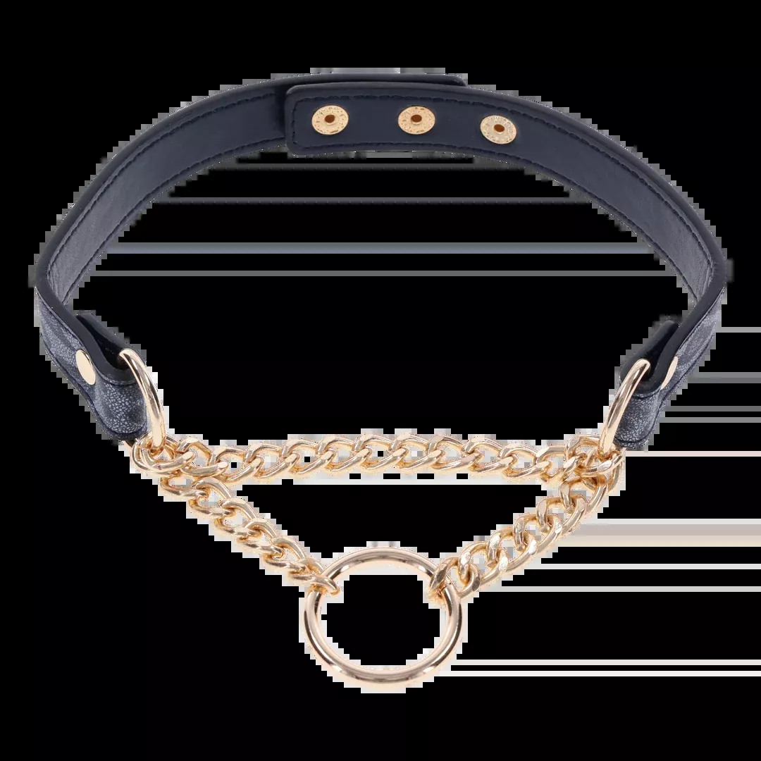 Sex and Mischief Cougar Day Collar