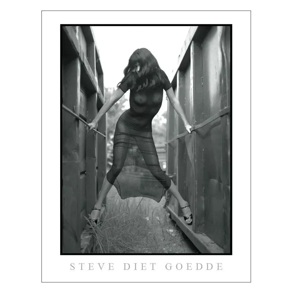 Steve Diet Goedde Poster, Gina Velour Black Dress
