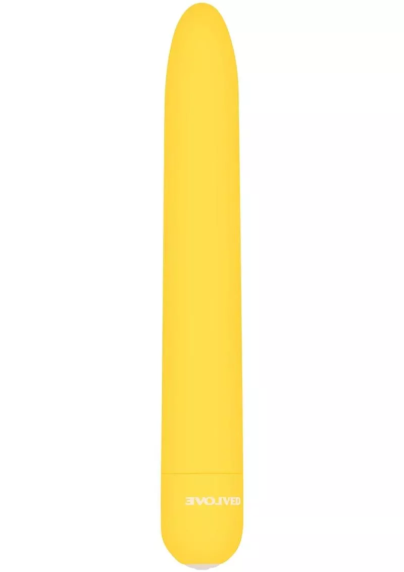 Sunny Sensations Rechargeable Vibrator